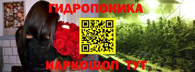 молекула духа Ливны