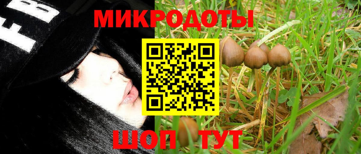 Псилоцибиновые грибы ЛСД Кизляр