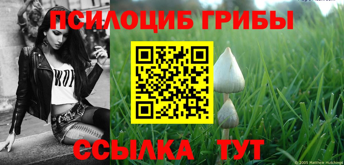 Псилоцибиновые грибы Psilocybe  Вход с VPN  Кизляр  Галлюциногенные грибы Psilocybine cubensis 